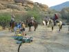 reiten-namibia-96.jpg