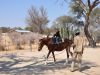 k-K1024_Namibia_mit_Schallenbergs_2009_094.JPG