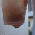 Tröpfchen im August