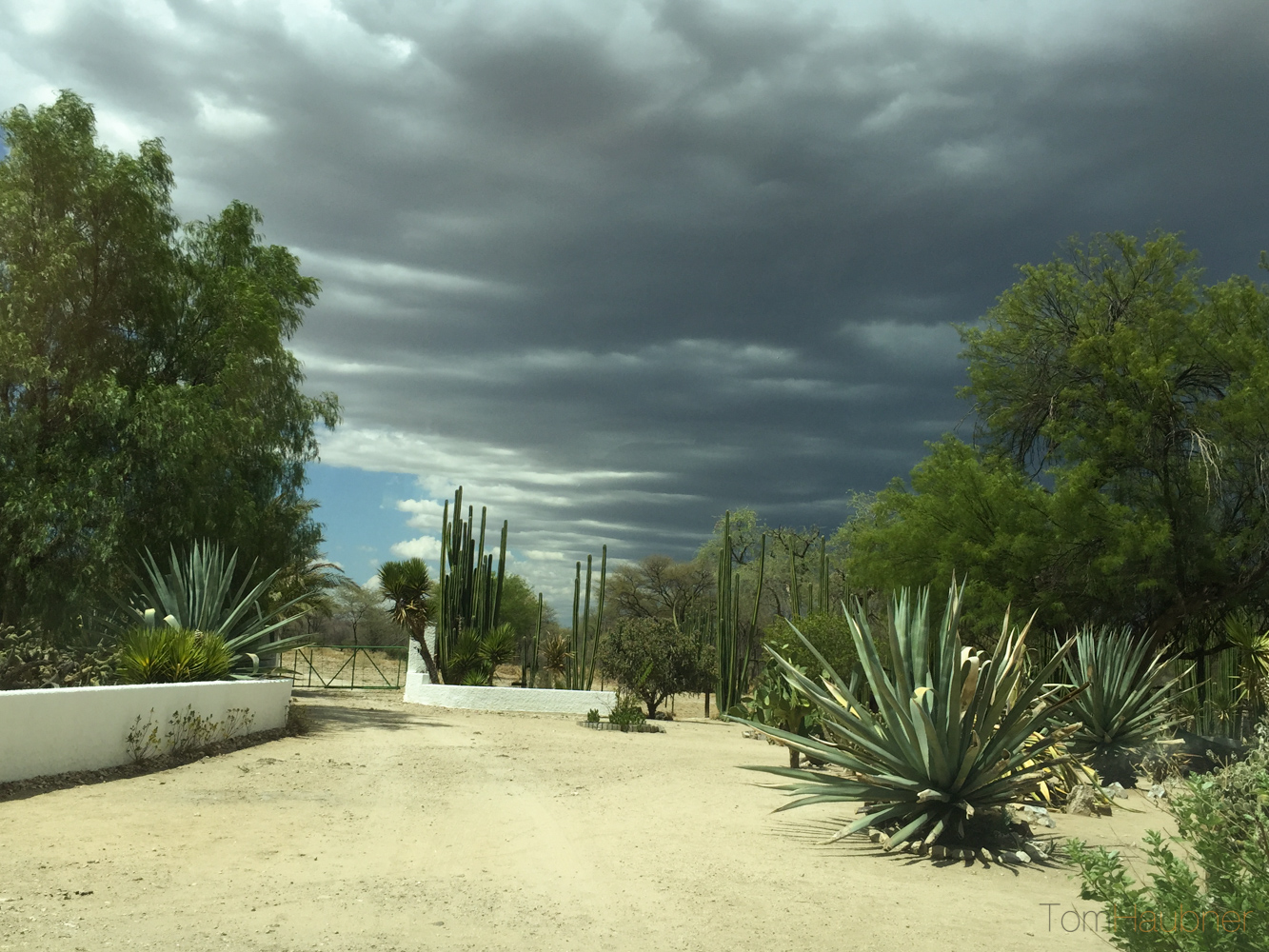 Gut - Wolken aus dem Osten