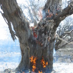 Feuer Gross-Okandjou 2006