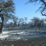 Feuer Gross-Okandjou 2006