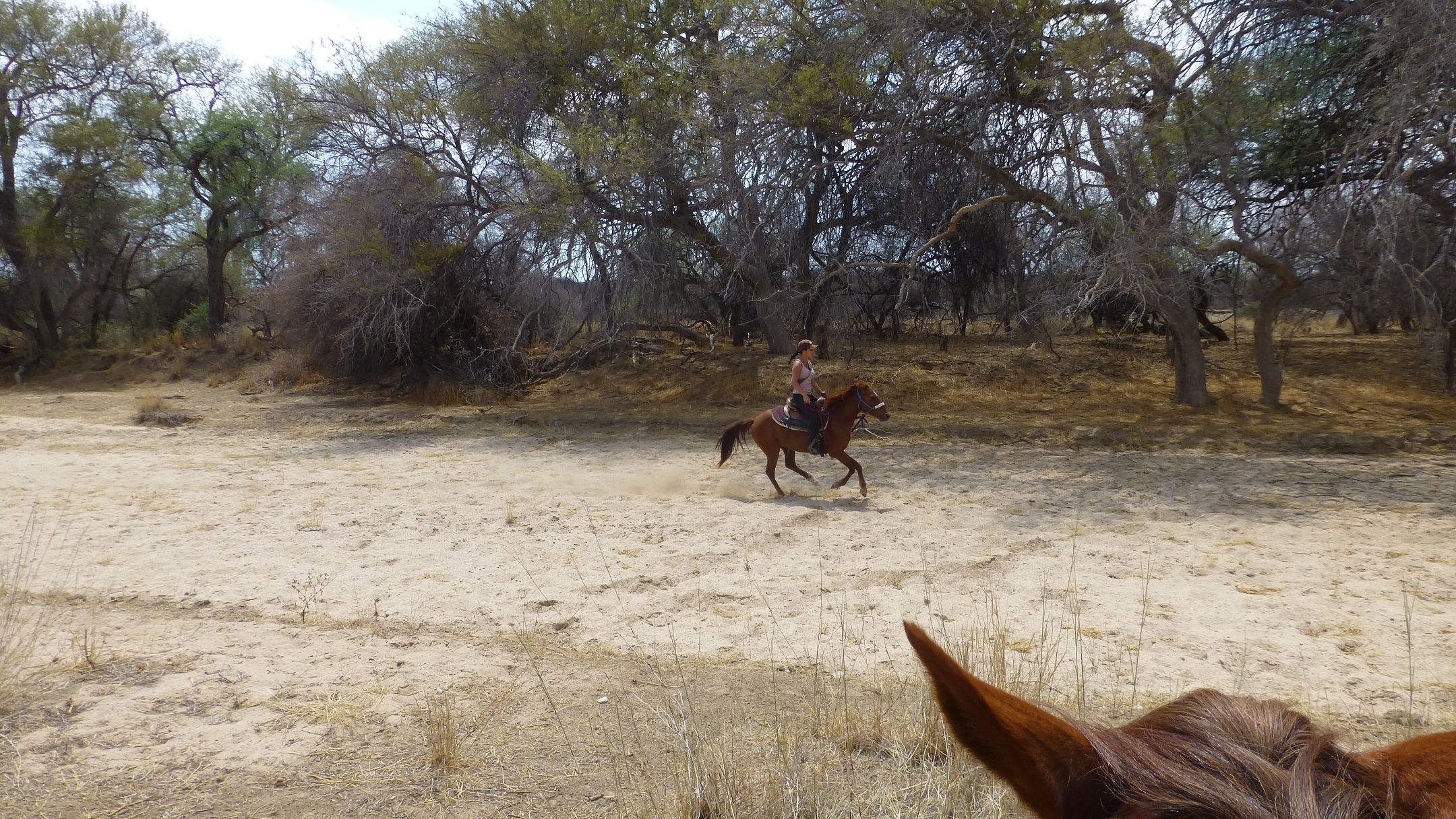 Speedy und Sarah