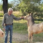 Aranka neugierig Aranka neugierig