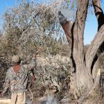 Auch das muss weg Auch das muss weg