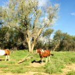 Wird es wieder spannend?