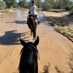 …und weiter geht´s