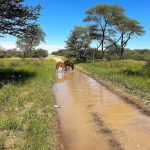 Schnell mal einen Schluck